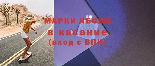 индика Белокуриха
