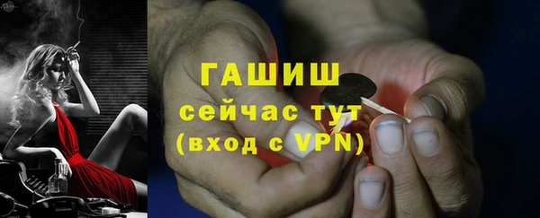 индика Белокуриха