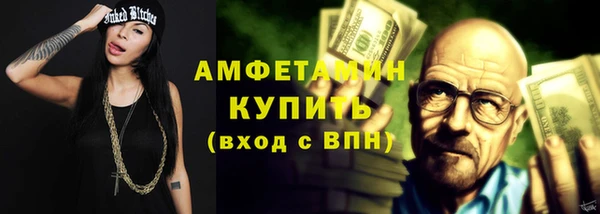 индика Белокуриха