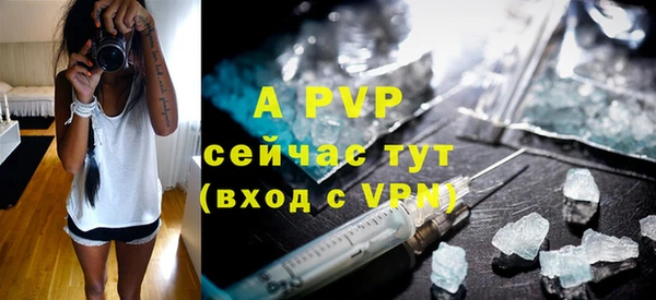 индика Белокуриха