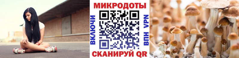 Псилоцибиновые грибы прущие грибы  Полесск 
